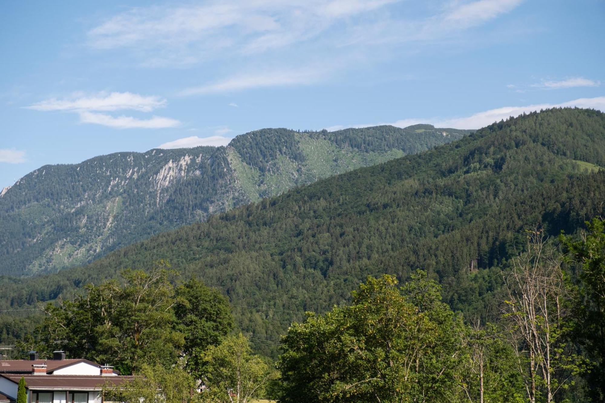 Suite Apartment Modern Getaway - Neu Renoviert - Strobl Am Wolfgangsee Kültér fotó
